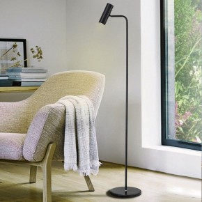 Торшер TopDecor Fred Fred F1 12 в Карталах - kartaly.mebel24.online | фото
