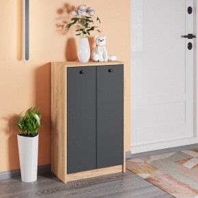 Тумба для обуви Рино в Карталах - kartaly.mebel24.online | фото 3