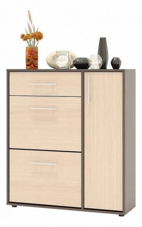 Тумба для обуви ТП-4 в Карталах - kartaly.mebel24.online | фото