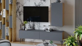 Тумба под ТВ Порто СМ-393.03.011 в Карталах - kartaly.mebel24.online | фото 5