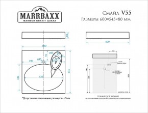 Умывальник над стиральной машиной (600*545*80) Смайл V55D1 (белый) с кронштейном без сифона (V55D1) в Карталах - kartaly.mebel24.online | фото 2