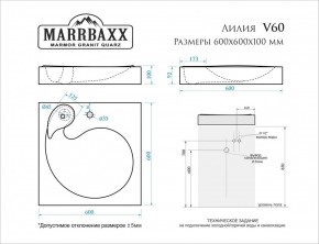 Умывальник над стиральной машиной (600*600х100) Лилия V60 (белый) с кронштейном без сифона (V60) в Карталах - kartaly.mebel24.online | фото 2