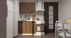 ЯНА Кухонный гарнитур Мини (1000 мм) в Карталах - kartaly.mebel24.online | фото