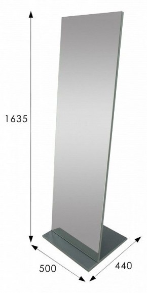 Зеркало напольное Стелла 2 в Карталах - kartaly.mebel24.online | фото 9